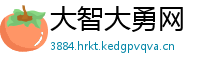 大智大勇网